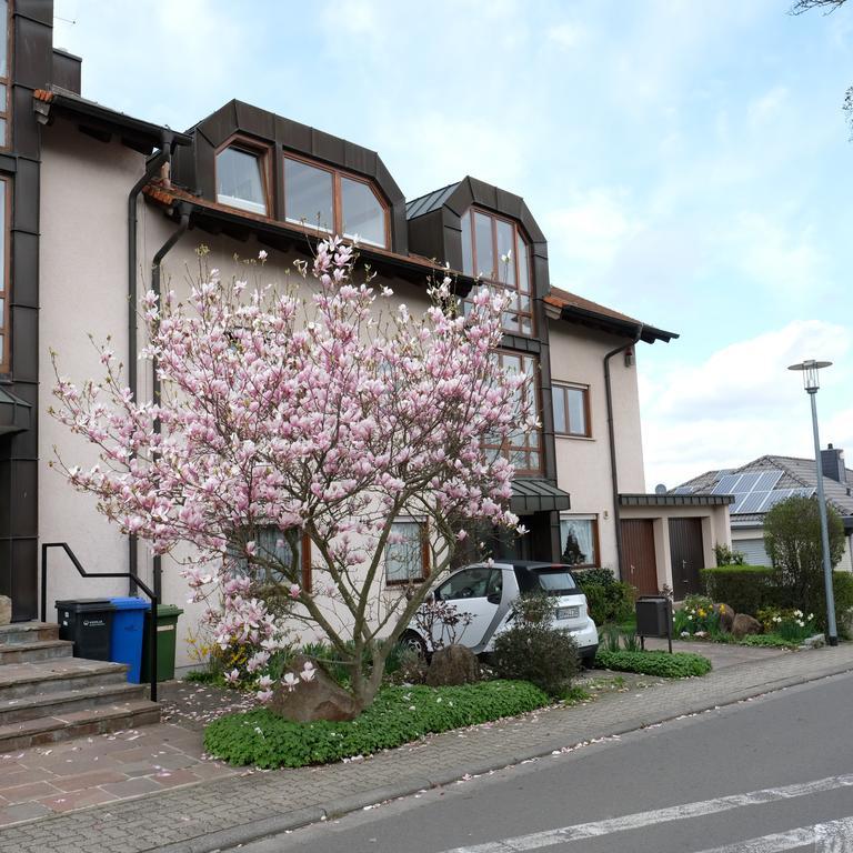 Ferienwohnung Unter Dem Schwalbennest Wachenheim an der Weinstrasse Exterior photo